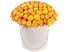 Флорида