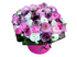 Луиза