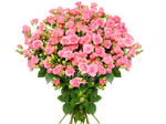 Жозефина