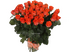 Кларенс