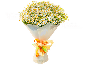 Раймашки