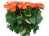 Кларенс