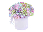 Мелба