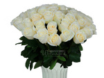 Венделла/розы белые