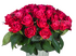 Шангри-Ла
