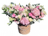 Кумите