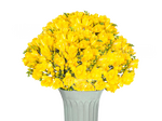 Фрезия желтая
