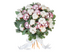 Снежный барс
