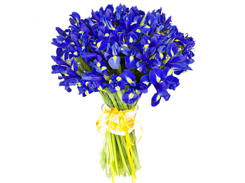 Сапфир